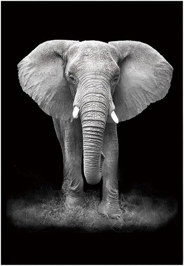 Yibenwanligod Photo Canvas Picture Wall Painting Elephant in Black and