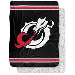Minnesota State University Moorhead