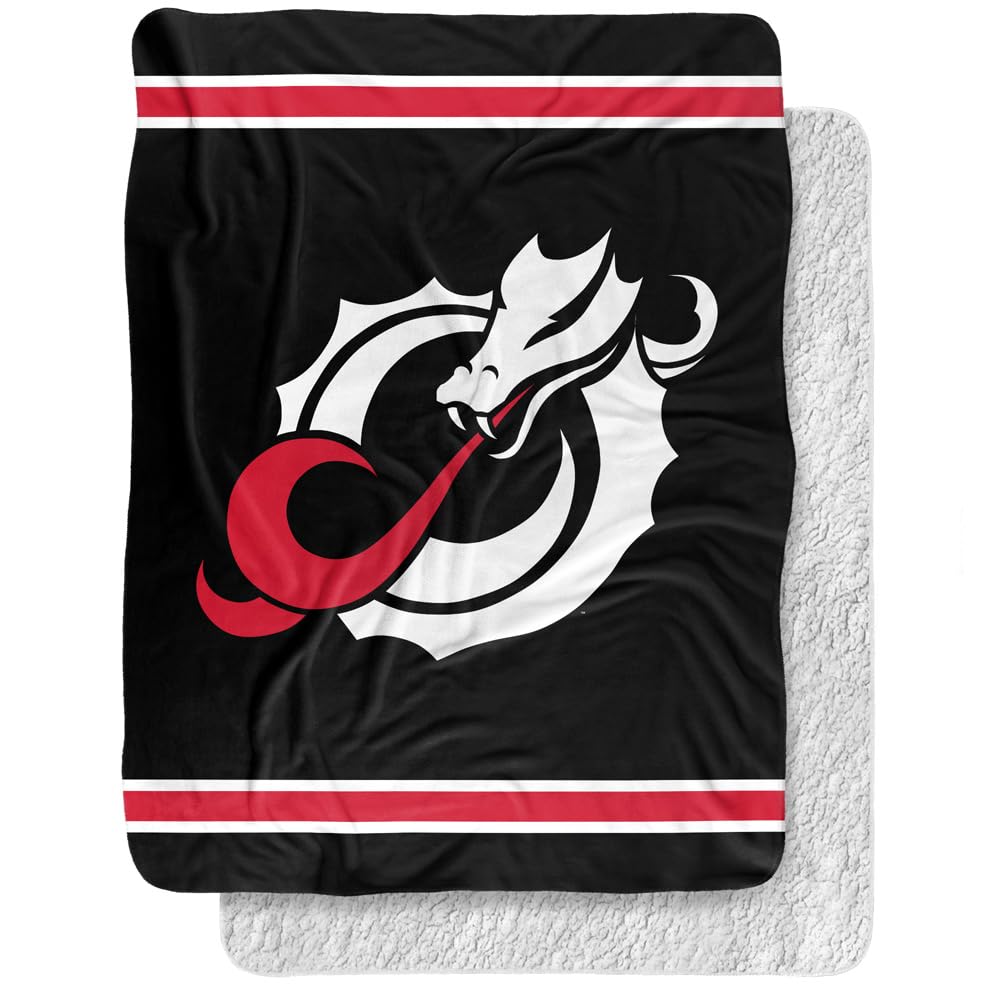 Minnesota State University Moorhead