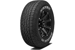 Nexen Roadian AT Pro RA8 All- Season Radial Tire-235/80R17 120R