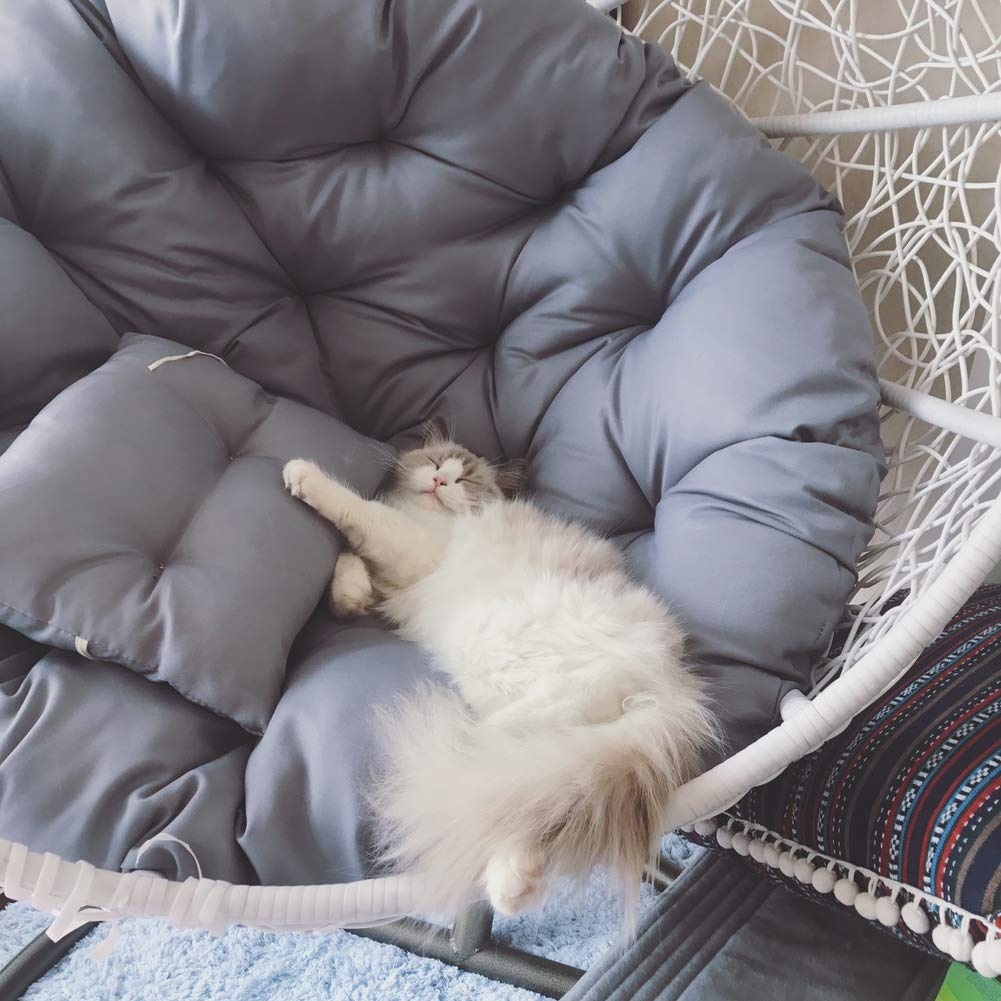 Best Egg Chair Cushion Replacement