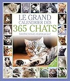 GRAND CALENDRIER 365 CHATS 2014 by