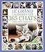 GRAND CALENDRIER 365 CHATS 2014 by