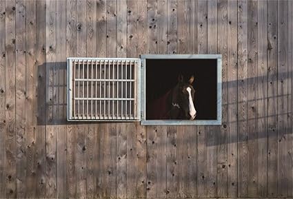 Amazon Com Baocicco 7x5ft Western Cowboy Backdrop Wood Wall