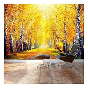 Sunny Autumn Day Trees line a Path Landscape Wall Mural