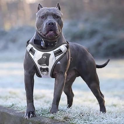No pull dog harness for pitbull Clearance