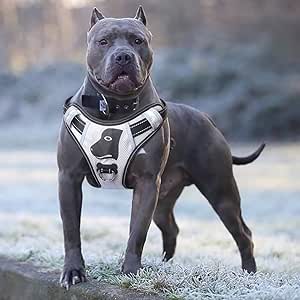 Amazon Com Babyltrl Silver Big Dog Harness No Pull Anti Tear Adjustable Pet Harness Reflective Oxford Material Soft Vest For Medium Large Dogs Easy Control Harness L Silver Pet Supplies