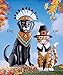 Collections Etc Thanksgiving Harvest Animal Garden Stakes, Cat