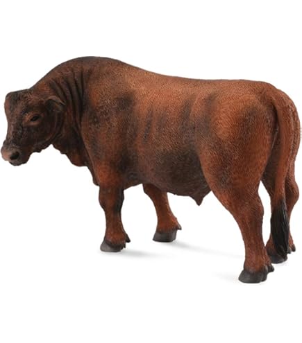Amazon.com: CollectA Black Angus Bull : Toys & Games