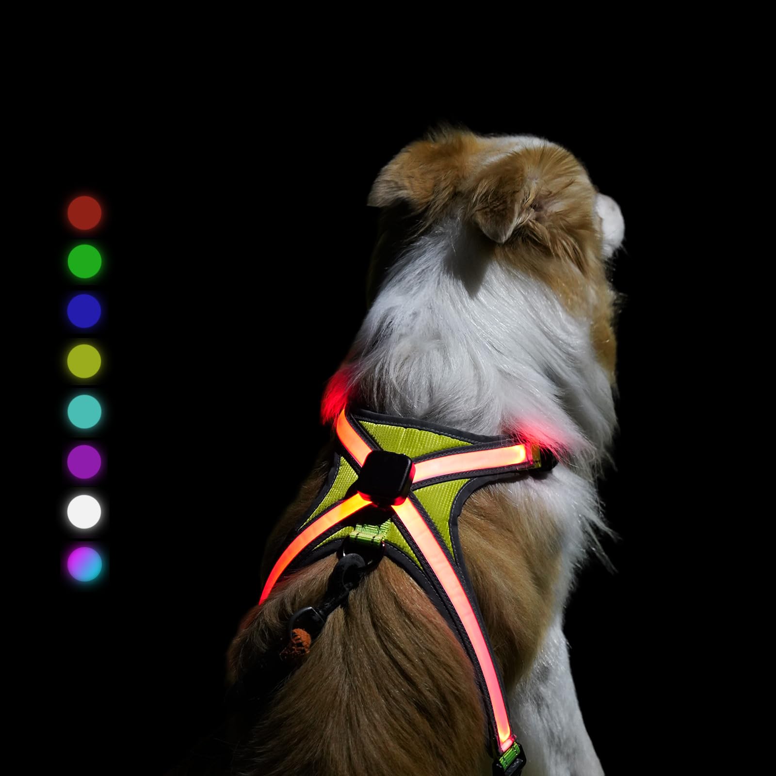 Photo 1 of Dog Harness Type-C Rechargeable LED Dog Harness with RGB Multi-Colour Lighting Mode & 500mAh Battery, 500m Visible Waterproof Glow in The Dark Safety Vest for Night Walking, Avoid Accident XL