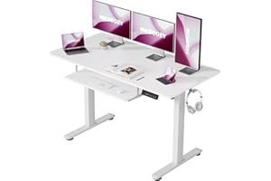 NICECOZY Electric Standing Desk with Keyboard Tray, 48 x 24 Inch Adjustable Height Sit Stand Up Desk with 2 Headphone Hooks for Home Office, Computer Workstation, White Frame & Desktop
