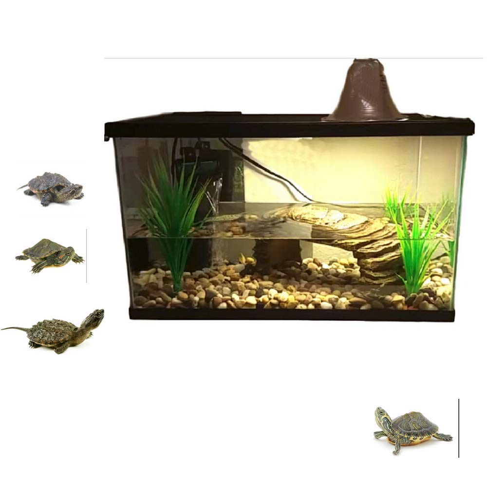 Top 25 Fish Tank Coffee Tables For Sale 2020