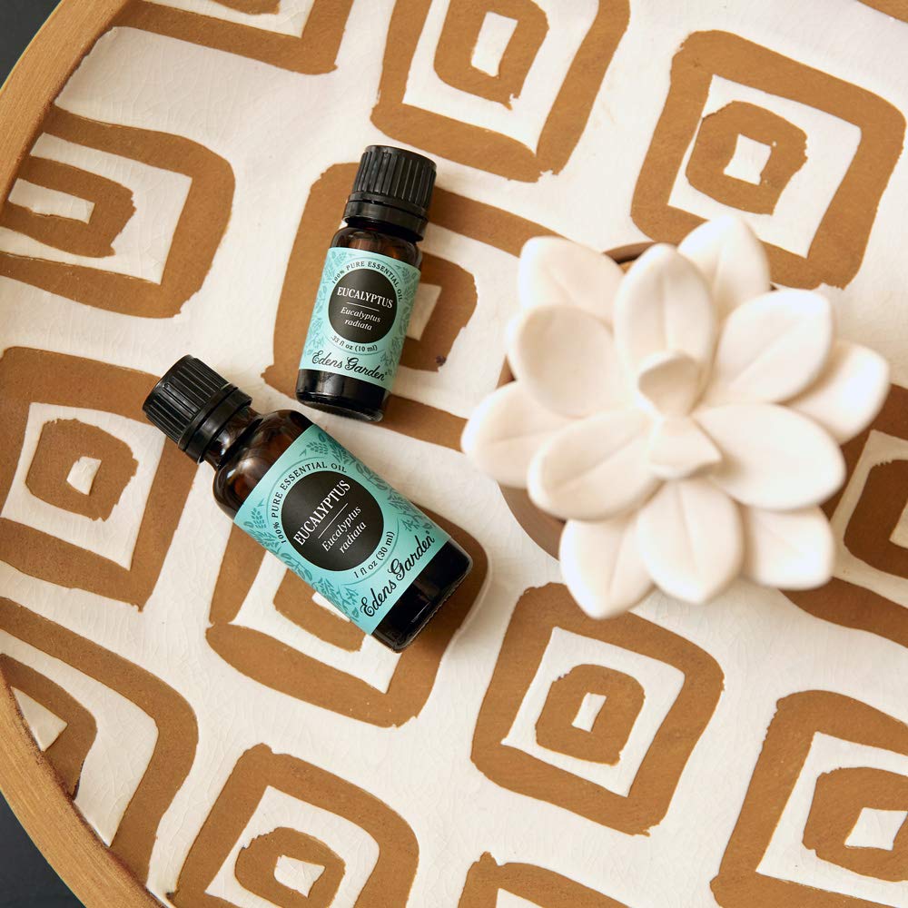 Edens Garden Eucalyptus Radiata Essential Oil 100 Pure Therapeutic Grade Highest Quality Aromatherapy Oils Congestion Energy 10 Ml