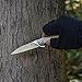 KIZER Cutlery Folding Pocket Knives Flipper Knife Frame Lock Gray Titanium Handles Tactical EDC Knife, TomCat Splinter Ki3457A1