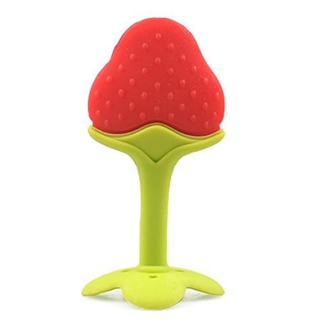 fruit teether amazon