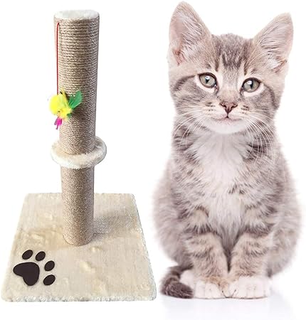 cat climbing tree amazon