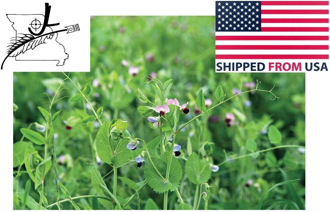 10 lbs Austrian Winter Pea Seeds Peas Open Pollinated