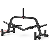 Sunny Health &amp; Fitness Home Gym Weight &amp; Barbell Storage Rack Stand | Home Gym Storage, High Capacity Design, Plate Storage, Barbell Posts, Dumbbell Rack, Kettlebell Shelf, Organized Setup