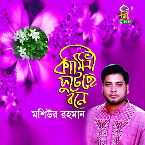 music kamini music kamini