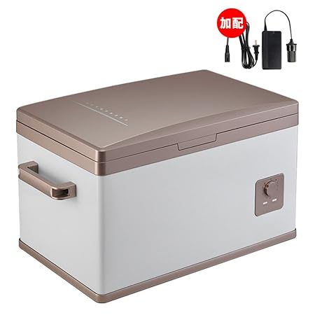 Compra SL&BX Nevera pequeña, Coche Doble Nevera congelador Juvenil ...