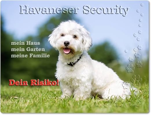 Merchandise For Fans Warnschild Schild Aus Aluminium 20x30cm Motiv Bichon Havanese Havaneser Security 01 Amazon De Kuche Haushalt