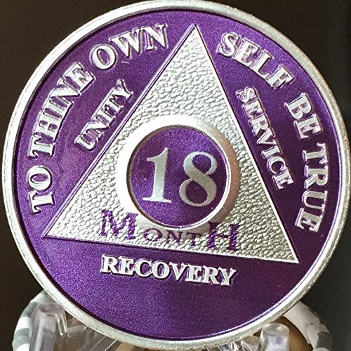 18 Month Purple Silver Plated AA Medallion Chip