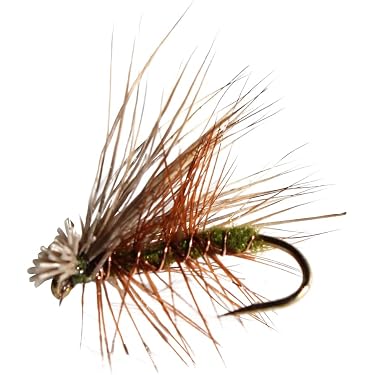 Amazon Best Sellers: Best Fly Fishing Wet Flies