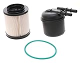 Motorcraft - Fuel Filter