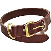 Ray Allen Mfg Signature K9 Heavy Leather Agitation Collar