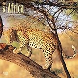 Africa 2016 Square 12x12 Wall Calendar by BrownTrout (July 15,2015) by 