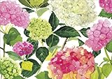Caspari Entertaining Endless Summer Assorted Blank Notecards, Box of 8