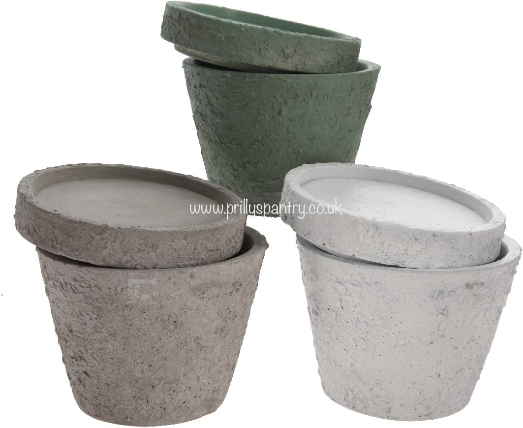 Decoris Fresh Cotton Scented Candle Potted With Lid - Green/White/Grey (Grey)