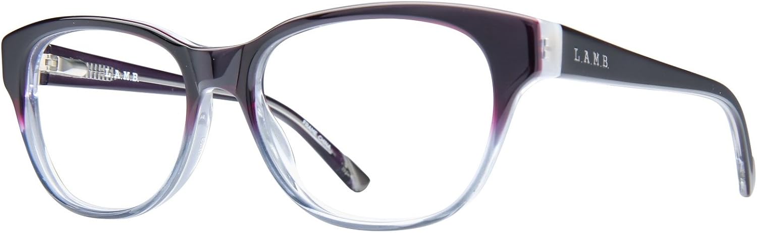 ombre glasses frames