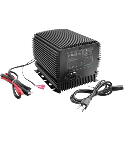 Amazon.com: 128537 SJ128537 Skyjack Battery Charge,ARELLY