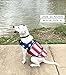 King Pup Dog Life Jacket, American Flag Life Vest for Puppies and Dogs. Safe and Secure with Extra Padding and American Flag Design (Extra Large, Blue)