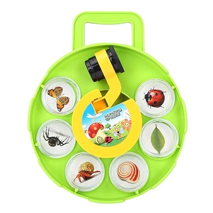 Insect Capture Box, Green Plastic Insect View Container Suitable for Rock View Flowers Leaves Insect Shells Crystals and Minerals