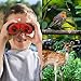 TOPTOY Gifts for 3-12 Year Old Boys, Compact Binoculars for Kids Play Toys for 3-12 Year Old Boys Girls Toys Toys for Kids 3-12 Year Old Girl Gifts TTUSTTH04