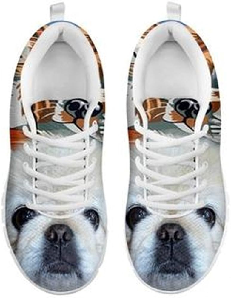 weiner dog german shepherd