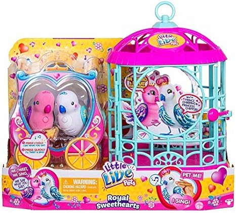 when should i spay my cat