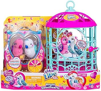 sunny ducky baby spa & gym