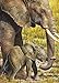 MasterPieces Animal Planet African Elephant Jigsaw Puzzle, 1000-Piece