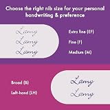 LAMY Safari Pink Cliff Fountain Pen F Nib with T 10 Blue Cartridge view 5