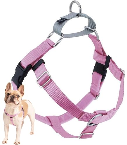 Shop Dog Harness PHANY Small Breed Dog Harness, No Pull With An