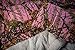 SALE!!!Twin Pink Camo Amadora Double Brushed Ultra Microfiber Luxury Bed Sheet Set Pink Camof Bedding Twin