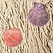 Kakaxi(TM) Natural Decorative Party Fish Net With Shells