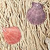 KakaxiTM-Natural-Decorative-Party-Fish-Net-With-Shells
