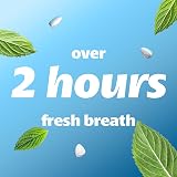 Smint Sugar Free Mints 2 Hour Fresh Breath 50 XXL Peppermint 12 Tins view 5