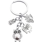 PYNASA Owl Keychain Set for Women Men, 4-Tone Owl Charm Set Key Chain Accessories Gifts For Car Key Ring,Backpacks,Hand Bag