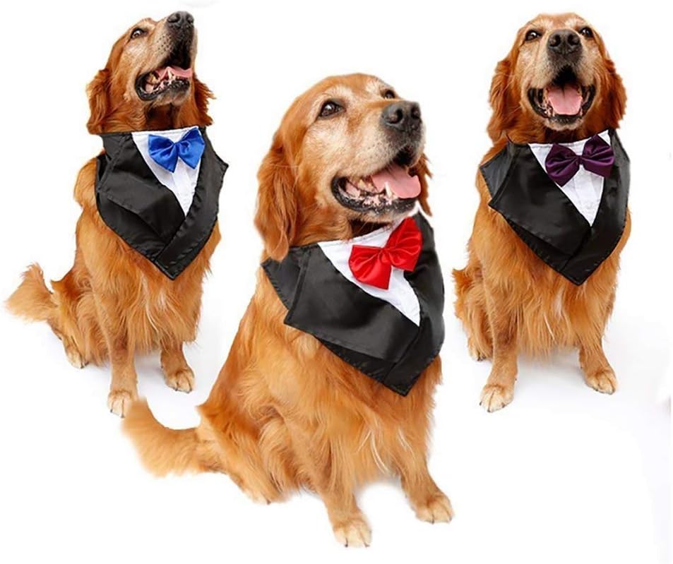 DAN Traje Grande del Smoking del Perro Ajustable y Hecho a Mano Collar del  pañuelo de la Boda del Gato con la Pajarita para Halloween Ropa del Perro  Perdiguero del Golden Retriever