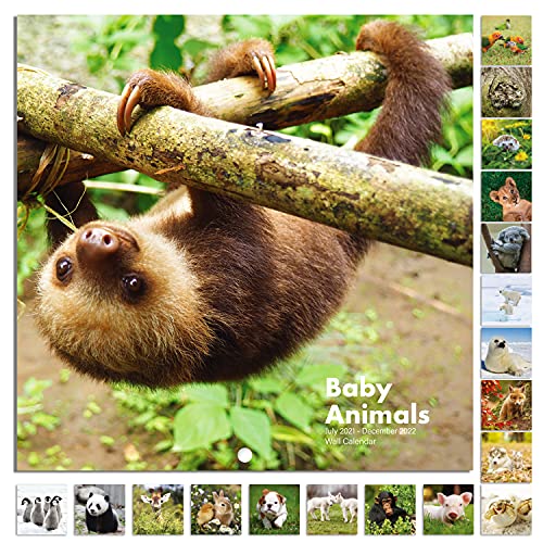 2022 Calendar Baby Animals Wall Calendar 2022 from Jan 2022 Dec 2022, 12 x 12 inches, Thick